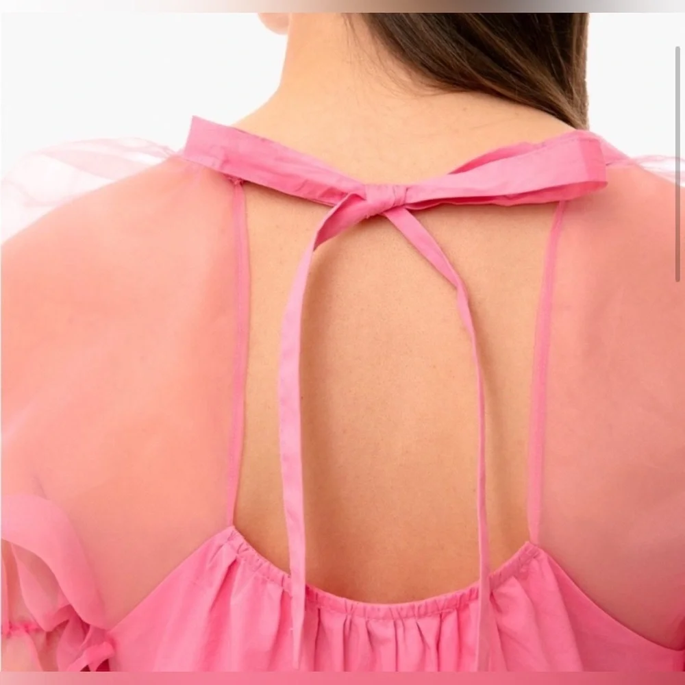 Tuckernuck $128 Pomander Place Tinsley Mesh Puff Sleeve Top in Pink Size Small